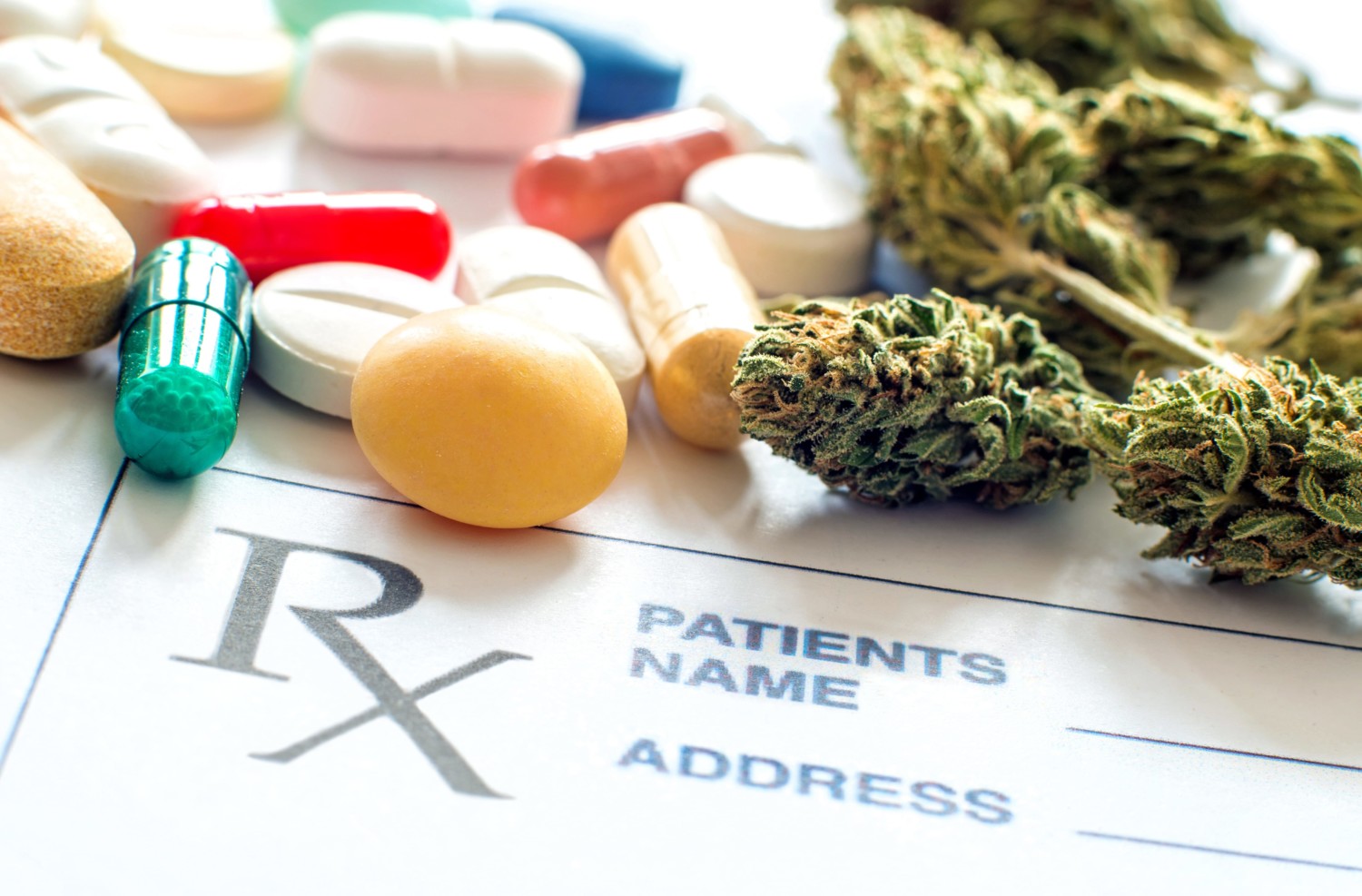 opioides y cannabis medicinal