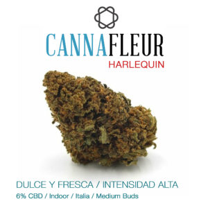 Cannafleur Harlequin 6% CBD Indoor 2€/gr Flores o Cogollos CBD